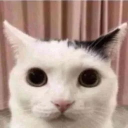 ❄ Kenz RU | Сезон 0 - Discord Server ❄ Kenz RU | Сезон 0 - Discord Server