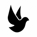 鳩 Twitter Space discord