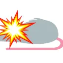 Ratter Scanner Development