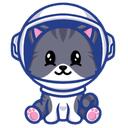 kittens game space
