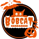 BOBCAT SECURITY