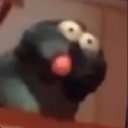 rats Server Icon