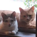 Clay and Jasper Archive!
