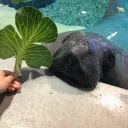 abode Discord Server Icon