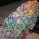 GreenBudz