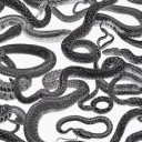 Snake Army