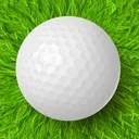 Bay Area Golfers