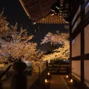 Archived By Luna #1119's icon