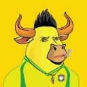 Mad Bulls F.C
