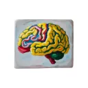 Nootropics DAO
