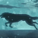 The Forgotten Territories Discord server icon