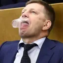 Государственная дума РФ