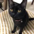Nageのサーバー
