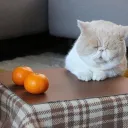 ゲーマーの溜まり場