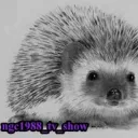 NGC1988-tv-show