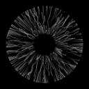 .X`Nɪɢʜᴛ— Discord Server Icon