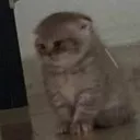 La Necrópolis G4DZ Discord Server Icon