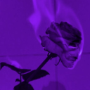 The Lunar Lounge Discord server icon