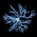 The Mycelium Network