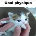 2DDitos Discord Server Icon