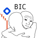 BlockFi Insolvent Community