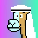 Solana Mad Camels