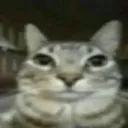 !!!