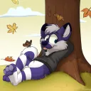 The Wusky Den