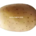 POTATO FART SQUAD