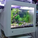 Computer Full of Fish