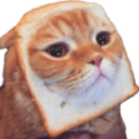 I have 273 cats in my basement Server Icon