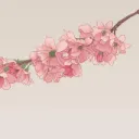 LunaLeMoon's Sakura Pit