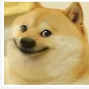 Halp