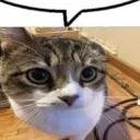 um