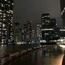 tara, clsd Discord Server Icon