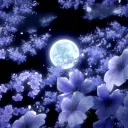 Lurking Lounge Discord Server Icon