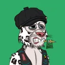 BSGRTigers