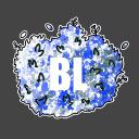 Bushcamper Legion Discord Server Icon