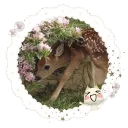 (◞◟ ⁺   ｡    Rose Crowned Cast... Discord Server Icon