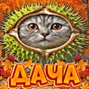 🍁〡Дача Зейна〡🍂