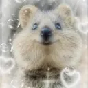 ふんわり楽園 ໒꒱女性限定