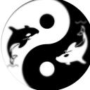 HYONLY RENEWED Discord Server Icon