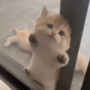 Discovery icon for cool del (community) Discord server