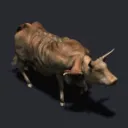 Fallout: Windy City