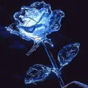 Stracciatella Discord Server Icon