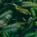 Unstressed Society