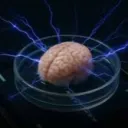 Nerve's Petri Dish