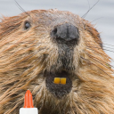 Discovery icon for BeaverMC | Minecraft SMP Discord server