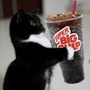 Kipcord Discord server icon