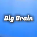 BIG Brain